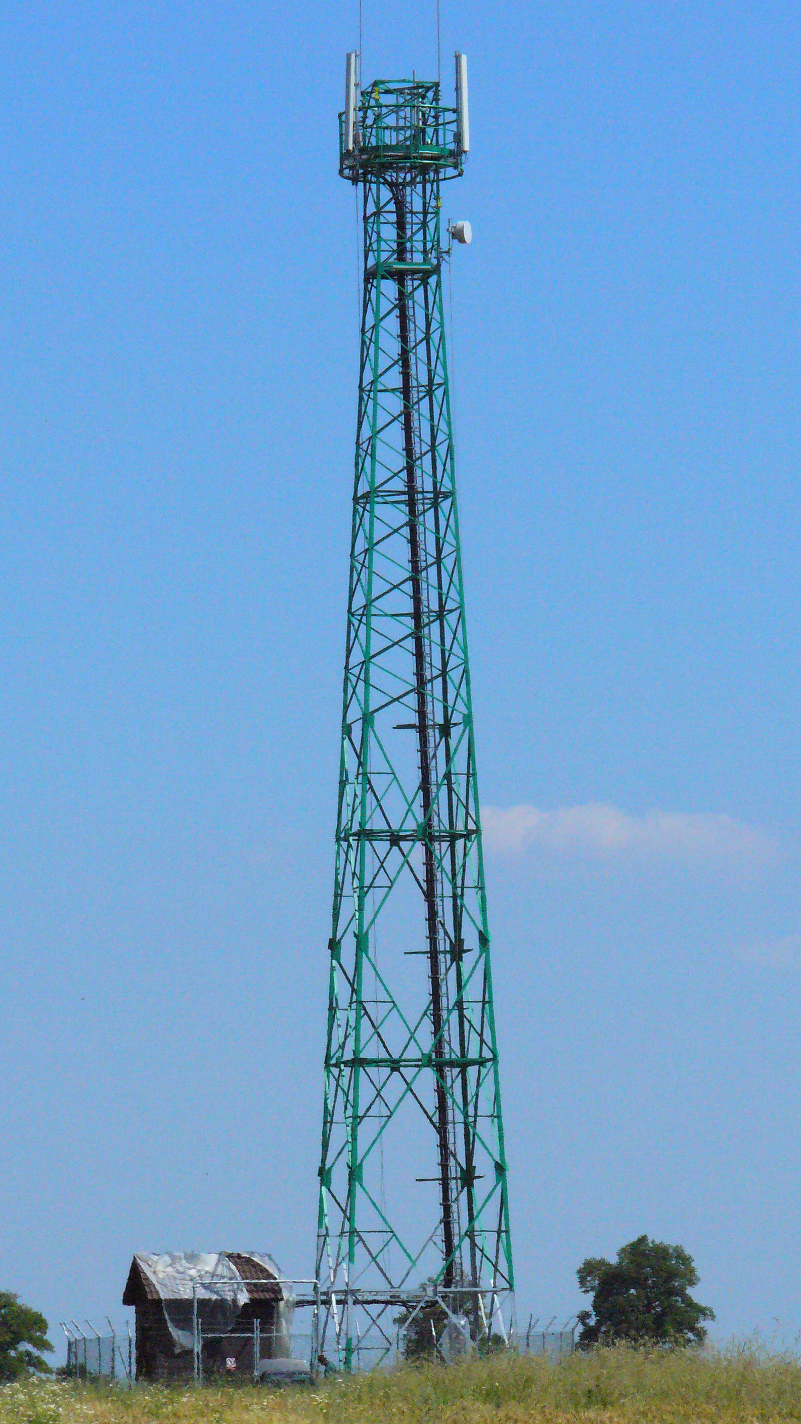 P1050084